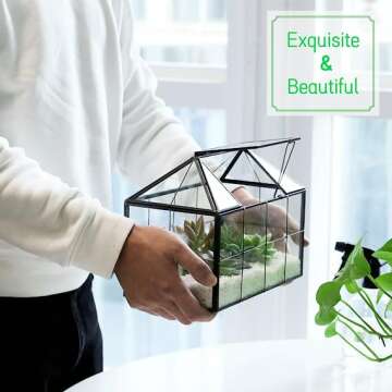 Plant Terrarium Kit for Indoor Gardening Bliss