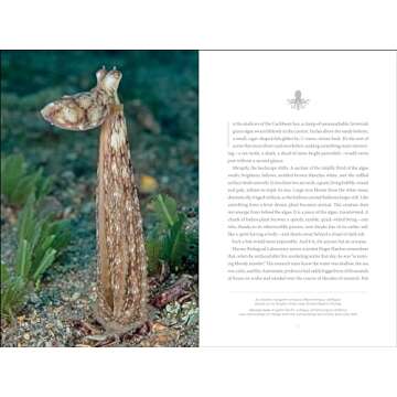 Secrets of the Octopus
