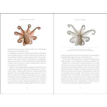 Secrets of the Octopus