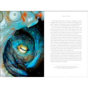 Secrets of the Octopus