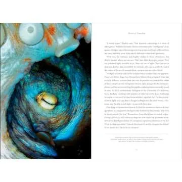 Secrets of the Octopus