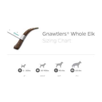 Pet Parents Gnawtlers - Premium Elk Antlers for Dogs, Naturally Shed Elk Antlers for Dogs, All Natural Elk Antler Dog Chew, Dog Bones, Specially Selected from The Heartland Regions (Large)