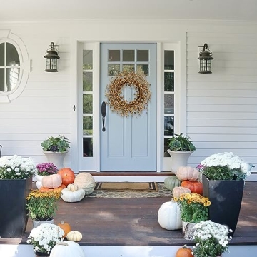 Buy TEMPUS Fall Forsythia Wreath for Autumn Decor