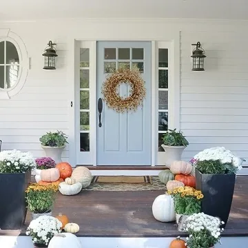 Buy TEMPUS Fall Forsythia Wreath for Autumn Decor