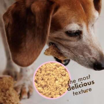 Puppy Cake Dog Birthday Kit - Easy Baking for Celebrating