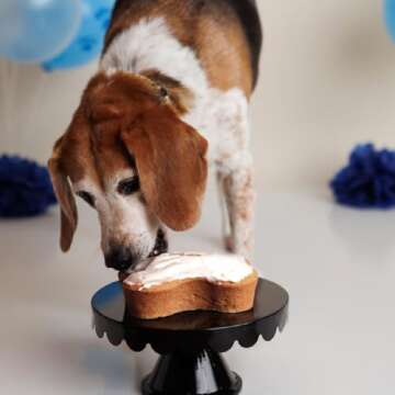Puppy Cake Dog Birthday Kit - Easy Baking for Celebrating