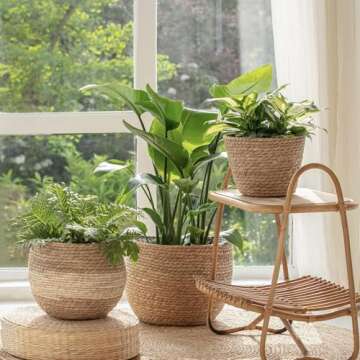 LA JOLIE MUSE Seagrass Planter Set for Eco-Friendly Decor