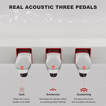 UMOMO 88 Weighted Key Digital Piano for All Musicians