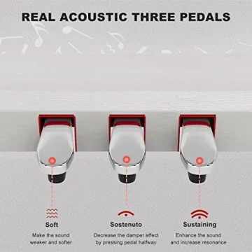 UMOMO 88 Weighted Key Digital Piano for All Musicians