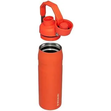 Stanley IceFlow Fast Flow Water Bottle 24 OZ | Angled Spout Lid | Lightweight & Leakproof for Travel & Gym | Insulated Stainless Steel | BPA-Free | Tigerlily