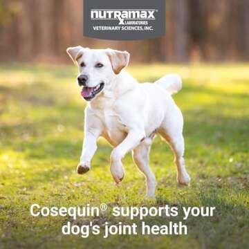Nutramax Laboratories Cosequin Maximum Strength Joint Health Supplement for Dogs - With Glucosamine, Chondroitin, and MSM, 250 Chewable Tablets