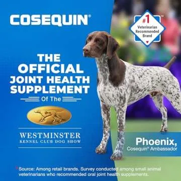 Cosequin Joint Health Supplement for Dogs - 250 Chewable Tablets