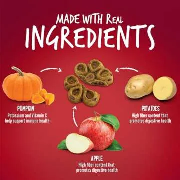 Fruitables Biggies Dog Biscuits – Crunchy Dog Biscuits Made with Pumpkin – Healthy Dog Treats Packed with Real Fruit Flavor – Free of Wheat, Corn and Soy – Crispy Bacon & Apple – 16 oz