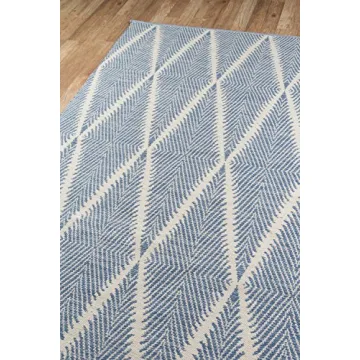 Erin Gates Hand Woven Area Rug for Indoor Outdoor Use