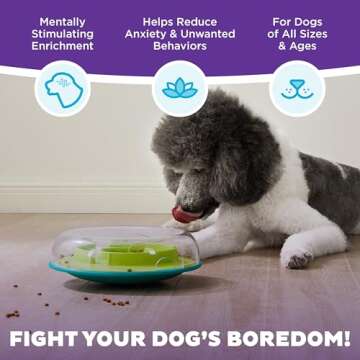 Outward Hound Nina Ottosson Wobble Bowl Dog Game -Interactive Slow Feeder Bowl Dog Game