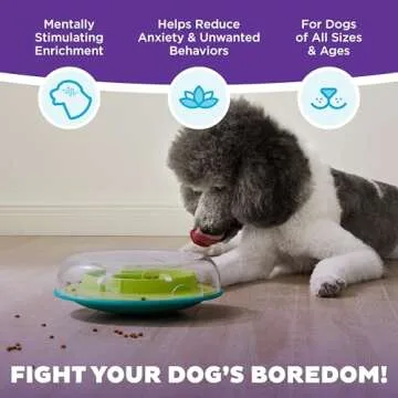 Outward Hound Nina Ottosson Wobble Bowl Dog Game -Interactive Slow Feeder Bowl Dog Game