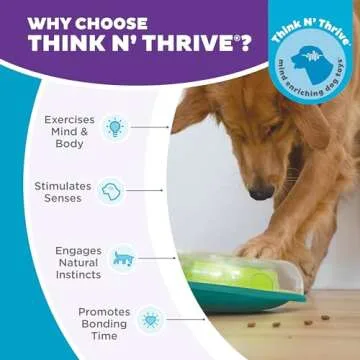 Outward Hound Nina Ottosson Wobble Bowl Dog Game -Interactive Slow Feeder Bowl Dog Game