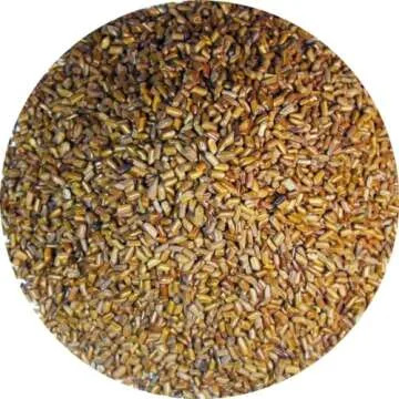 Green Hill Cassia Tea – 100% Natural Loose Leaf Herbal Tea