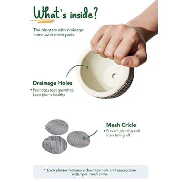 LE TAUCI 3 Inch Boho Succulent Pots, Artisanal Small Succulent Planters, Cement Small Plant Pots for...