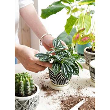 LE TAUCI 3 Inch Boho Succulent Pots, Artisanal Small Succulent Planters, Cement Small Plant Pots for Plants, Cute Succulent Gift Box for Mom, Women, Set of 4, Black and Cream White