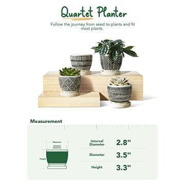 LE TAUCI 3 Inch Boho Succulent Pots, Artisanal Small Succulent Planters, Cement Small Plant Pots for Plants, Cute Succulent Gift Box for Mom, Women, Set of 4, Black and Cream White