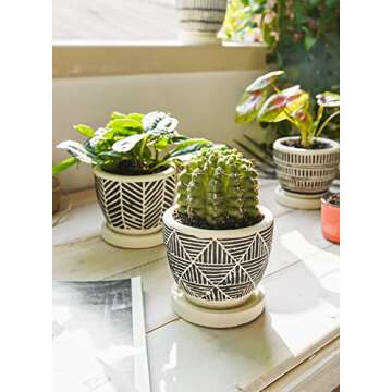 LE TAUCI 3 Inch Boho Succulent Pots, Artisanal Small Succulent Planters, Cement Small Plant Pots for Plants, Cute Succulent Gift Box for Mom, Women, Set of 4, Black and Cream White