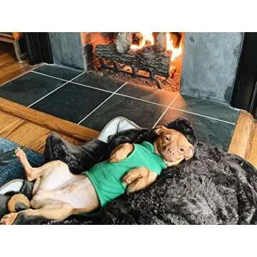 Gooby Fleece Vest Dog Sweater - Green, X-Large - Warm Pullover Fleece Dog Jacket with O-Ring Leash - Winter Small Dog Sweater Coat - Cold Weather Dog Clothes for Small Dogs Boy or Girl