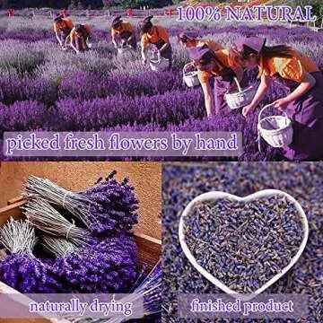 20 Bags Dried Flowers,100% Natural Dried Flowers Herbs Kit for Soap Making, DIY Candle Making,Bath - Include Rose Petals,Lavender,Don't Forget Me,Lilium,Jasmine,Rosebudsand More