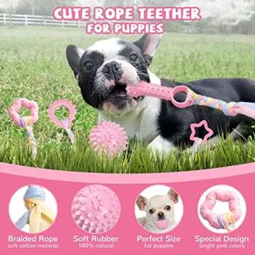 ABRRLO Puppy Toys,6 Pack Puppy Chew Toys for Teething Small Breed,Cute Pink Small Dog Chew Toys,Soft...