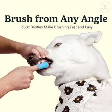 Jasper Dog Toothbrush Kit for Easy Pet Dental Care