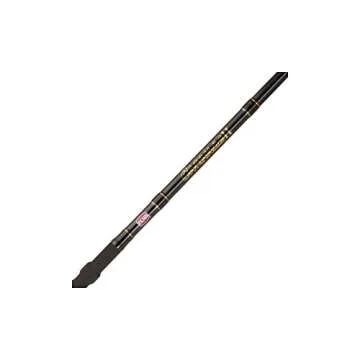 PENN Carnage II Surf Casting Fishing Rod