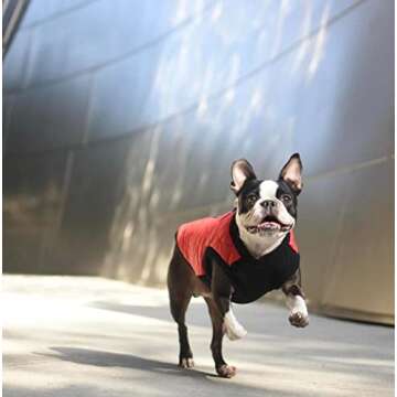 Gooby Fashion Vest Dog Jacket - Black, Large - Warm Zip Up Dog Bomber Vest with Dual D Ring Leash - Winter Water Resistant Small Dog Sweater - Dog Clothes for Small Dogs Boy or Medium Dogs