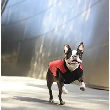 Gooby Fashion Vest Dog Jacket - Black, Large - Warm Zip Up Dog Bomber Vest with Dual D Ring Leash - Winter Water Resistant Small Dog Sweater - Dog Clothes for Small Dogs Boy or Medium Dogs