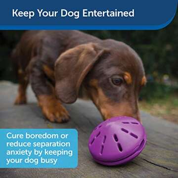 PetSafe Busy Buddy Twist 'n Treat Dispensing Dog Toy - Small