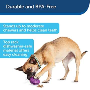 PetSafe Busy Buddy Twist 'n Treat Dispensing Dog Toy - Small