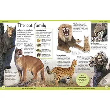 First Animal Encyclopedia: A First Reference Guide to the Animals of the World (DK First Reference)