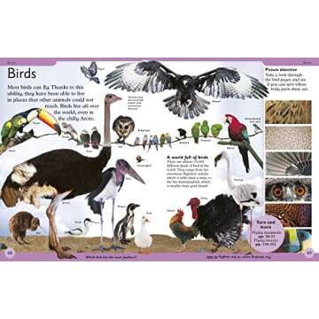 First Animal Encyclopedia: A First Reference Guide to the Animals of the World (DK First Reference)