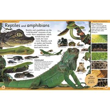 First Animal Encyclopedia: A First Reference Guide to the Animals of the World (DK First Reference)