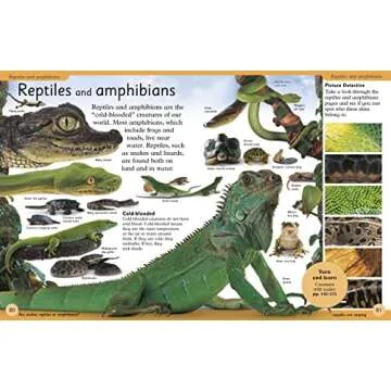 First Animal Encyclopedia: A First Reference Guide to the Animals of the World (DK First Reference)