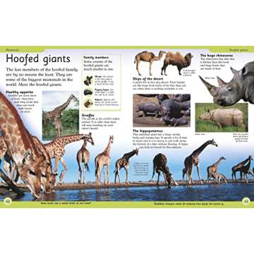 First Animal Encyclopedia: A First Reference Guide to the Animals of the World (DK First Reference)