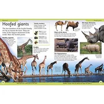 First Animal Encyclopedia: A First Reference Guide to the Animals of the World (DK First Reference)