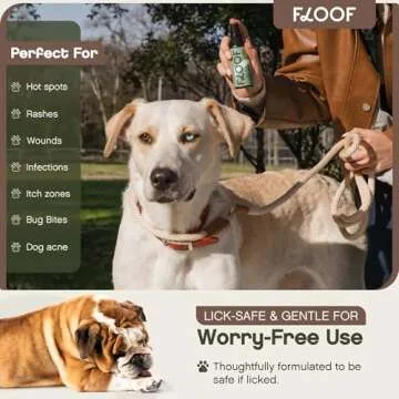 Hypochlorous Acid Spray for Dog Skin Relief & Healing