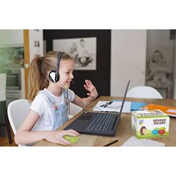 Spiky Balls Stim Toy 4 Pcs Set, Picking Desk Fidgets for Kids & Adults, ADHD Autism, Sensory Fidget Toys for School, Stress Relief and Boost Focus