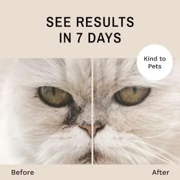 Eye Envy Cat Tear Stain Remover Starter Kit with ProPowder Brush. Stain Solution, Applicator Pads, Stain Powder, and Small Applicator Brush. Tear Stain Treatment Kit. Lasts 30-45 Days. Made in USA.