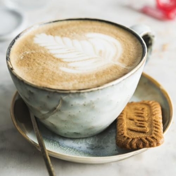 Lotus Biscoff Cookies - Crunchy Caramelized Biscuits