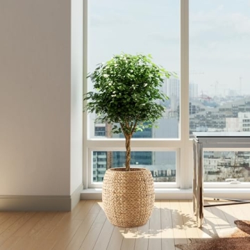 Casafield Round Storage Basket with Lid - Stylish Organizer