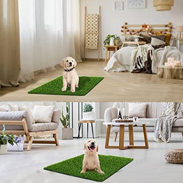 Quality Fake Grass for Dogs – Potty Training Made Easy