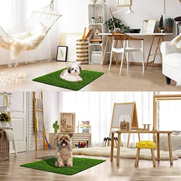 Quality Fake Grass for Dogs – Potty Training Made Easy