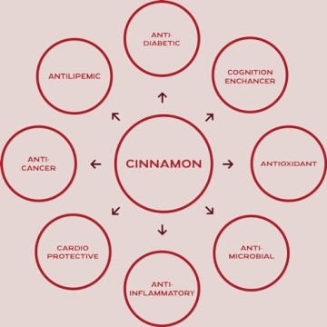 Organic Indonesian Cinnamon Single-Serving Packets by Cinny