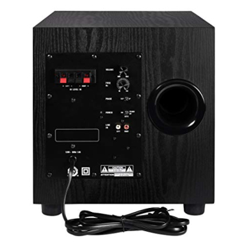 ELAC SUB1010 120 Watt 10" Powered Subwoofer for Music Lovers